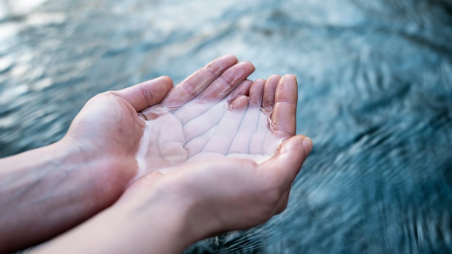 Achieving 55% emission reduction: What the CSRD means for the seafood industry