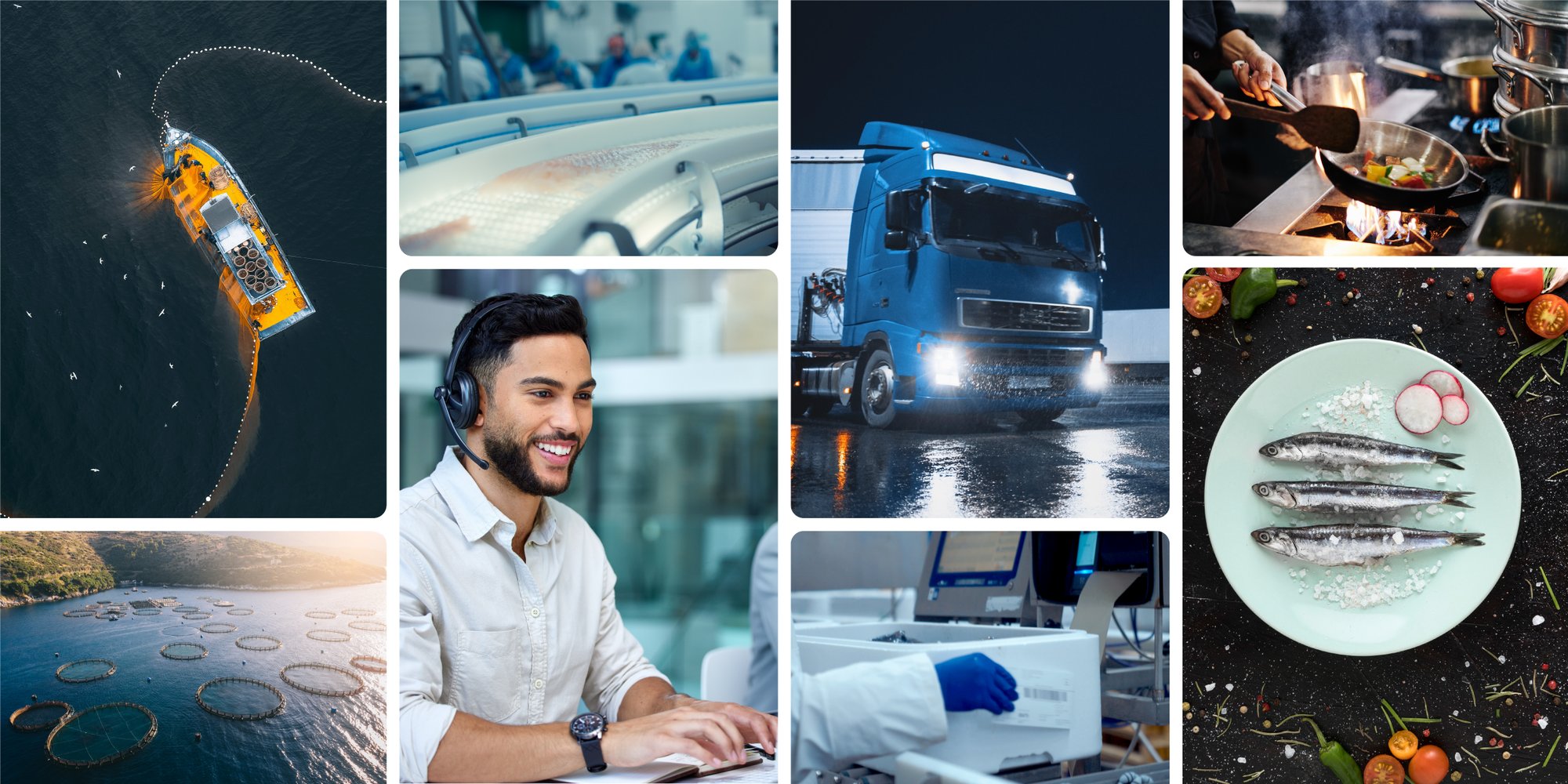 Our platform mosaic_4